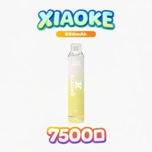 XIAOKE 梟客 7500 口 長效續航拋棄式主機 8ml巨量油倉 一支抵五支 650mAh 可充電 出遊必備 台灣現貨直發