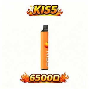 KIS5 鎧斯6500口拋棄式電子煙 雙芯磁吸混搭 Type-C快充 桂花綠茶+薄荷+葡萄等組合 台灣現貨